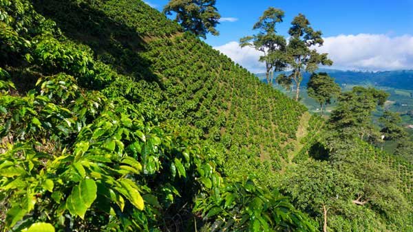 montanas-de-colombia